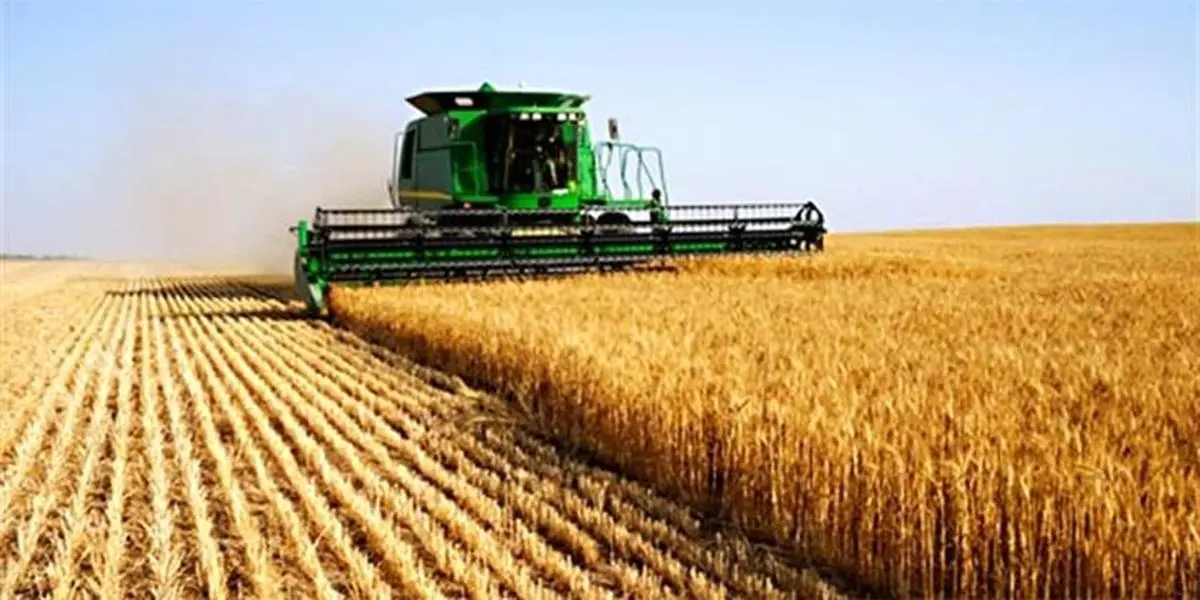 رشته کشاورزی چگونه در چین جذاب شد؟