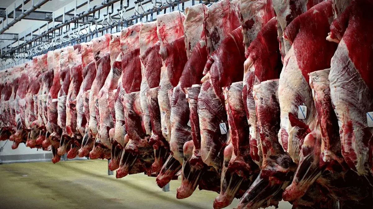 قیمت گوشت مستقیما تابع قیمت دام زنده است