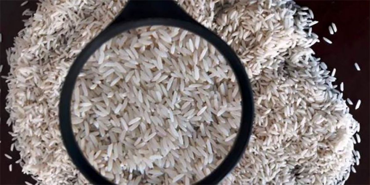 چرا برنج ۱۷ هزار تومانی شمال باید ۳۰ هزار تومان فروخته شود؟
