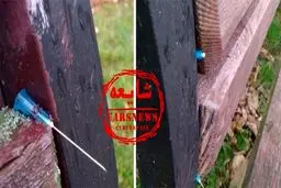 از شایعه تا واقعیت سرنگ‌های آلوده زیر نیمکت‌های پارک