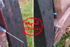 از شایعه تا واقعیت سرنگ‌های آلوده زیر نیمکت‌های پارک