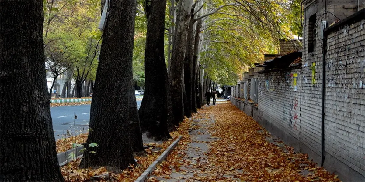 ۹ درمان طبیعی برای آلرژی‌های پاییزی