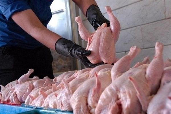 قول ۲ وزارتخانه برای کاهش قیمت مرغ به ۱۰۸۰۰ تومان