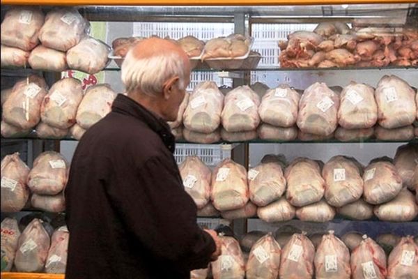 روزانه ۱۰۰ تن مرغ منجمد دولتی در پایتخت عرضه می شود