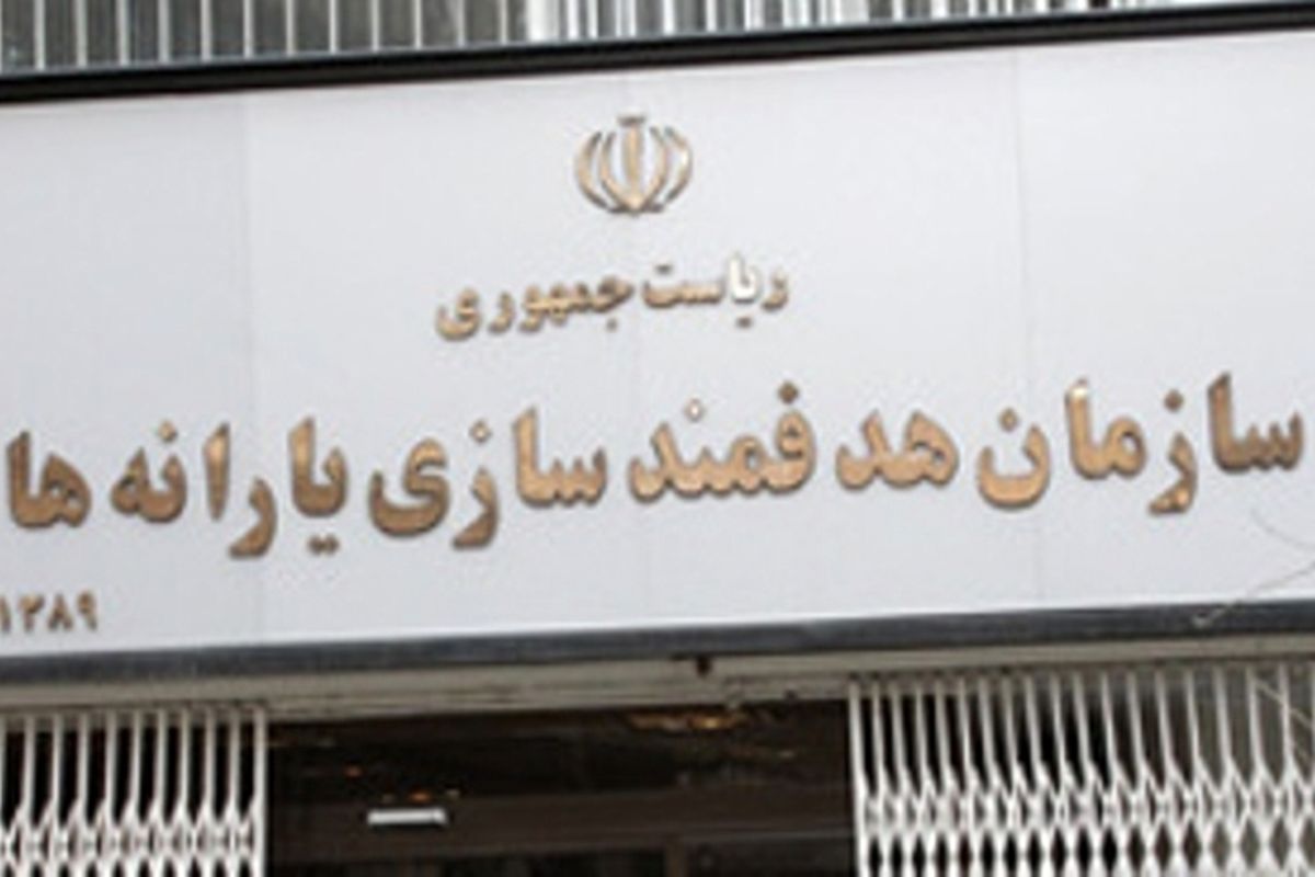 نماینده مجلس مستندات پرداخت یارانه به ایرانیان خارج از کشور را ارایه کند
