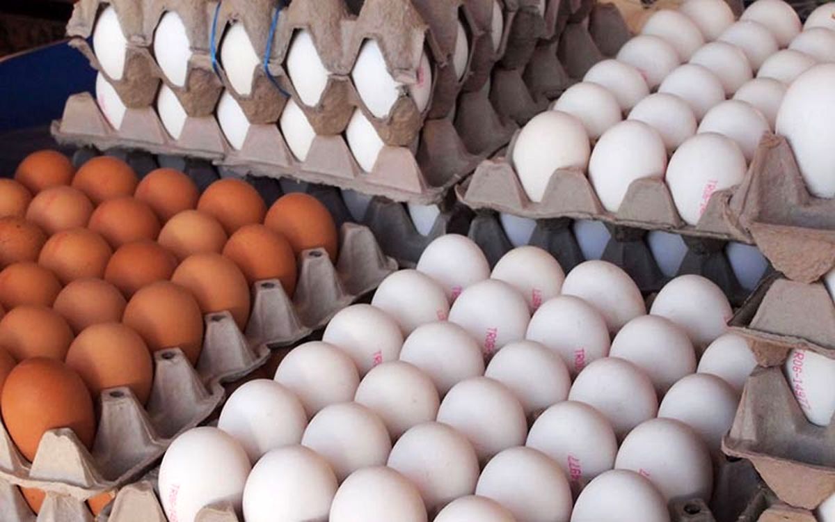 قیمت تمام شده تولید تخم مرغ ۲۰ درصد افزایش یافت/قیمت هر کیلو تخم مرغ ۷ هزار و ۴۰۰ تومان