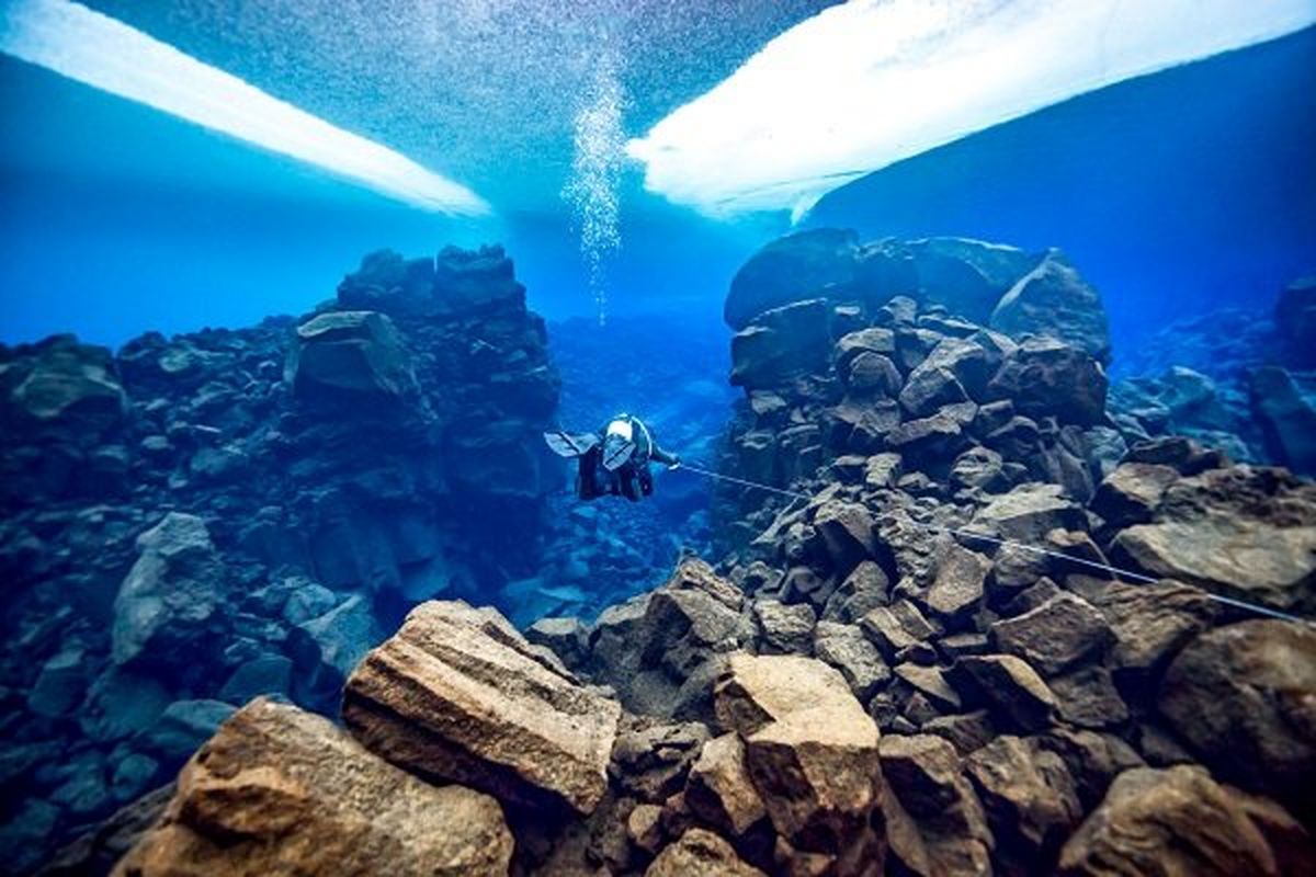 برترین عکس های دنیای زیر آب در سال ۲۰۱۸ را تماشا کنید