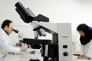 روش های دقیق تعیین جنسیت جنین