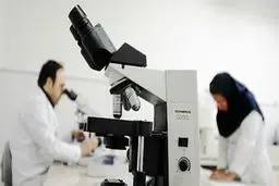 روش های دقیق تعیین جنسیت جنین