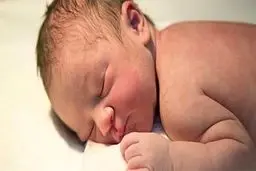 بررسی روند پنج ساله ولادت در کشور