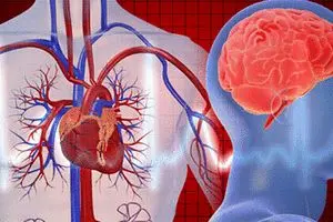 خوش‌بینی از حمله قلبی و سکته مغزی جلوگیری می‌کند