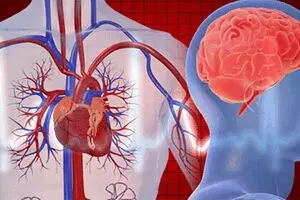 خوش‌بینی از حمله قلبی و سکته مغزی جلوگیری می‌کند