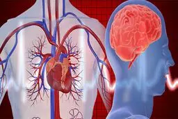 خوش‌بینی از حمله قلبی و سکته مغزی جلوگیری می‌کند