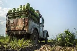 صادرات ۲۱۸ میلیارد لیتر آب مجازی در سال ۹۷ !