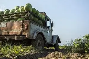 صادرات ۲۱۸ میلیارد لیتر آب مجازی در سال ۹۷ !