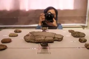 ۶۵۰۰ لوح هخامنشی خوانده شده و ۴۰۰۰ مُهر رمزگشایی شده است