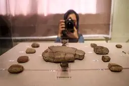 ۶۵۰۰ لوح هخامنشی خوانده شده و ۴۰۰۰ مُهر رمزگشایی شده است