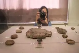 ۶۵۰۰ لوح هخامنشی خوانده شده و ۴۰۰۰ مُهر رمزگشایی شده است