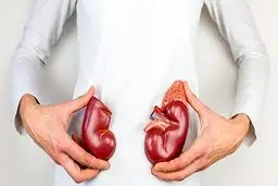 آقایان برای اهدای کلیه بهترند