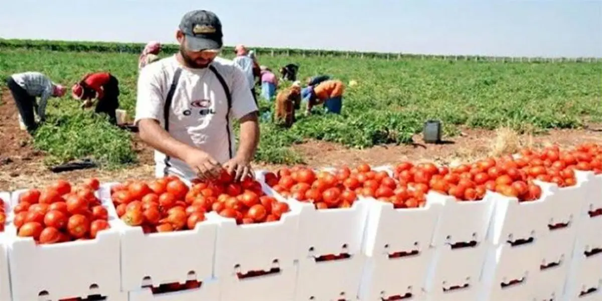 جنگ تجاری بین فلسطین و رژیم صهیونیستی شدت گرفت