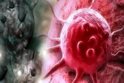 ابداع روش جدید ایمن سازی بدن در برابر سرطان