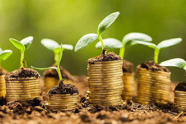 رزق بهشتی به چه مالی تعلق می‌گیرد؟