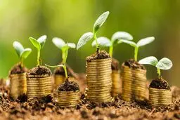 رزق بهشتی به چه مالی تعلق می‌گیرد؟