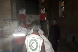 زلزله صحنه خسارت جانی و مالی نداشت