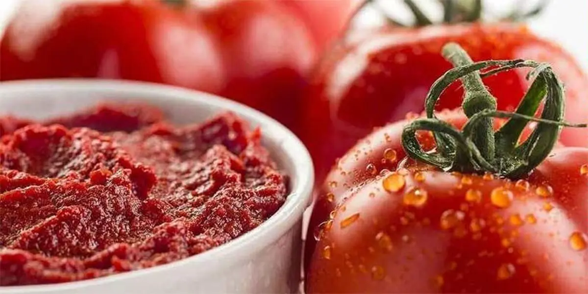 گوجه ۴۲درصد ارزان شد، رب‌گوجه ۱۵درصد گران