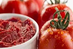 گوجه ۴۲درصد ارزان شد، رب‌گوجه ۱۵درصد گران