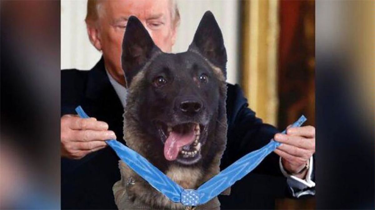 ترامپ خودش را با سگ عملیات قتل بغدادی مقایسه کرد!