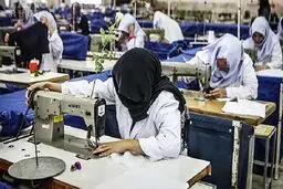 زنان بیشتر در کدام بخش‌ها شاغل هستند؟