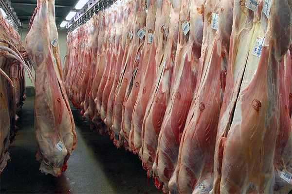 کاهش ۲۲ درصدی تولید گوشت در تابستان ۹۸