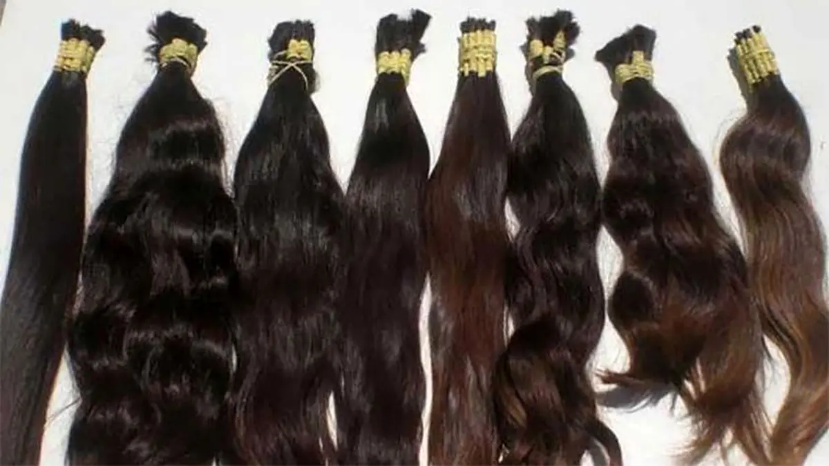 بازار مو و گیس‌های بریده، شغلی به اصطلاح لاکچری!