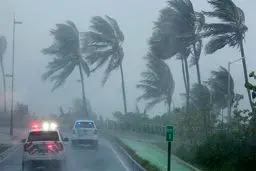 ۳۰ هزار خانوار فرانسوی همچنان از داشتن برق محرومند