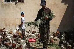 بانک‌ها پول روستاییان را نمی‌دهند!