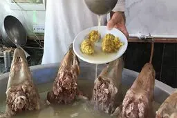 کله پاچه را ۱۰ تا ۱۵ درصد گرانتر می‌فروشند!