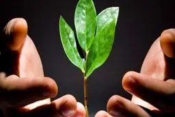 رزق و روزی انسان چطور تعیین می‌شود؟