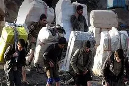 کوله‎‌بران قدم در عرصه تجارت گذاشتند