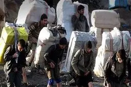 کوله‎‌بران قدم در عرصه تجارت گذاشتند