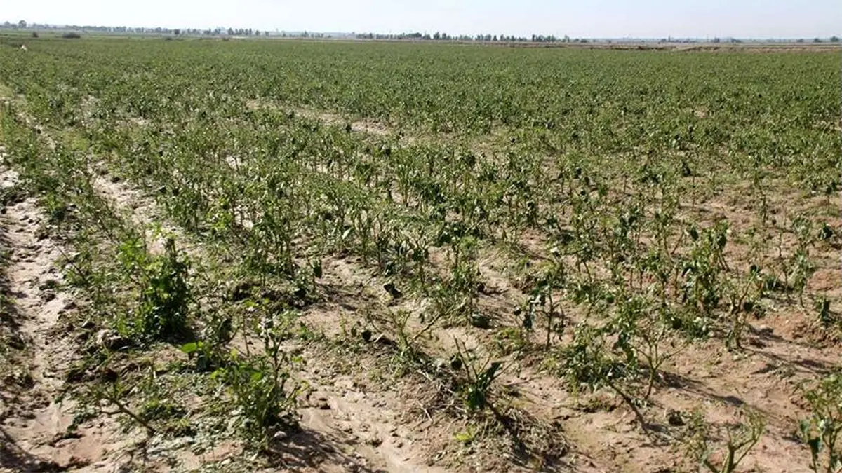 ۱۱هزار میلیارد ریال تسهیلات به مناطق سیل‌زده پرداخت شد