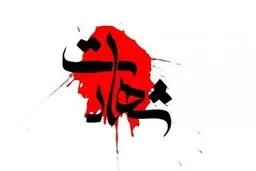 شهادت مأمور یگان ویژه در درگیری دیروز اشرار با پلیس