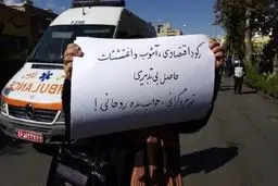 اقتصاددانان در مورد طرح دولت چه می‌گویند؟