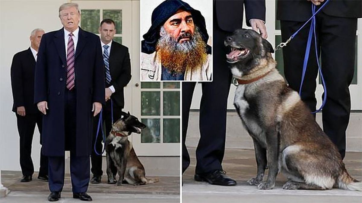 میزبانی ترامپ از سگ تعقیب کننده البغدادی