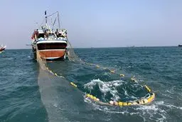 در دولت به میزان سوخت قایق‌های صیادی توجه نشده است