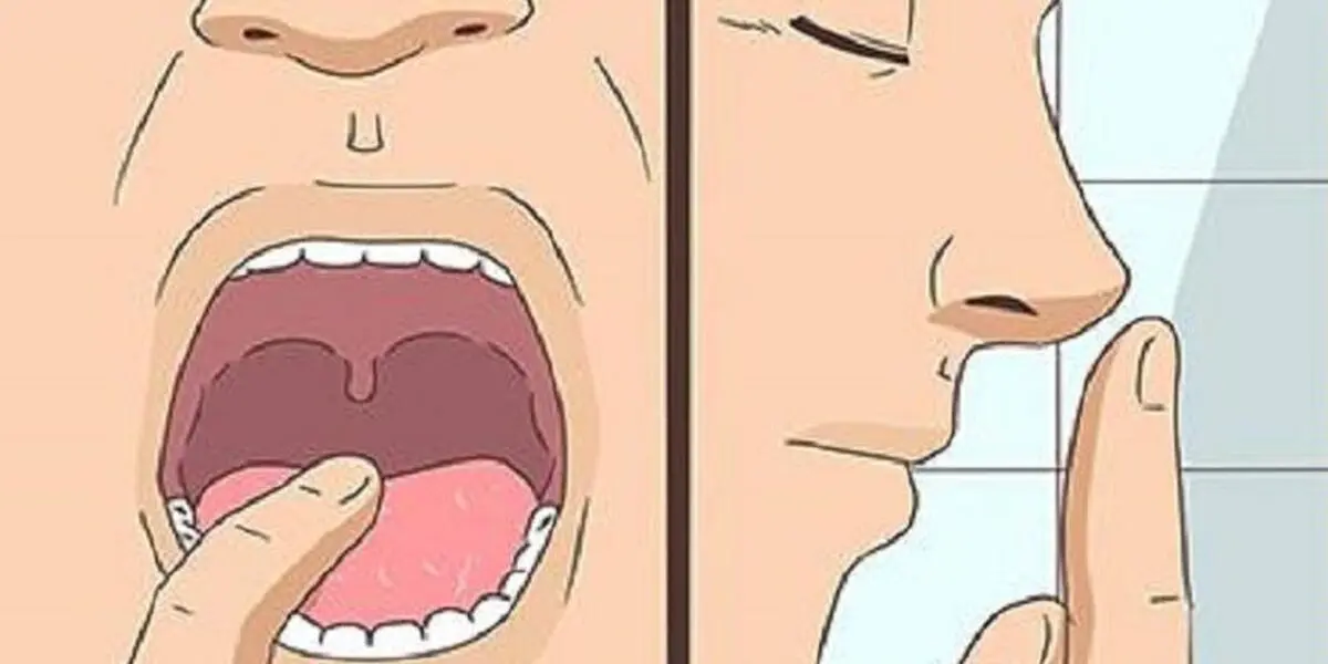 اگر دست نجس به دهان و بینی وارد شد، چه کنیم؟
