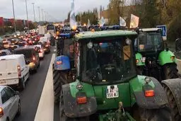 سوژه فیلم حاتمی کیا در فرانسه به وقوع پیوست!