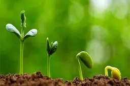 درمان افسردگی و ناامیدی در مشکلات اقتصادی