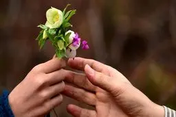 چطور قلب آلوده به کینه را درمان کنیم؟