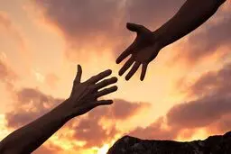 این مسابقه هیچ بازنده‌ای ندارد